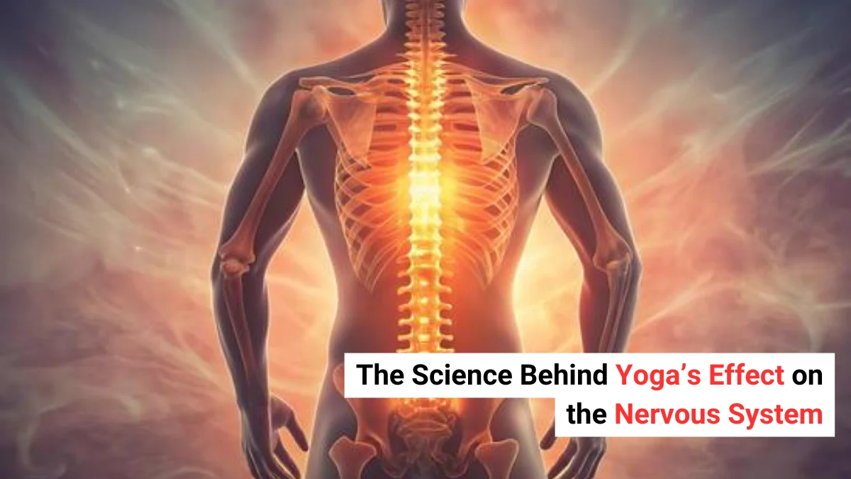 The Science Behind Yoga’s Effect on the Nervous System