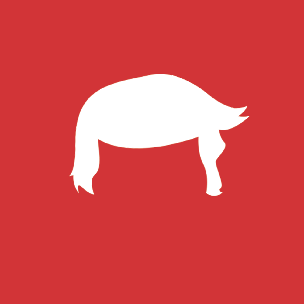 collegedemsofamerica logo